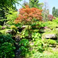 35 Arboreto de Batsford.JPG